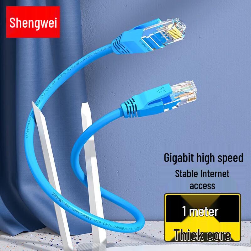 

Shengwei Cat6a Gigabit Ethernet Patch Cable