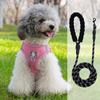 Vest-Style Harness and Leash Set for Small Dogs: Bichon, Teddy, Pomeranian