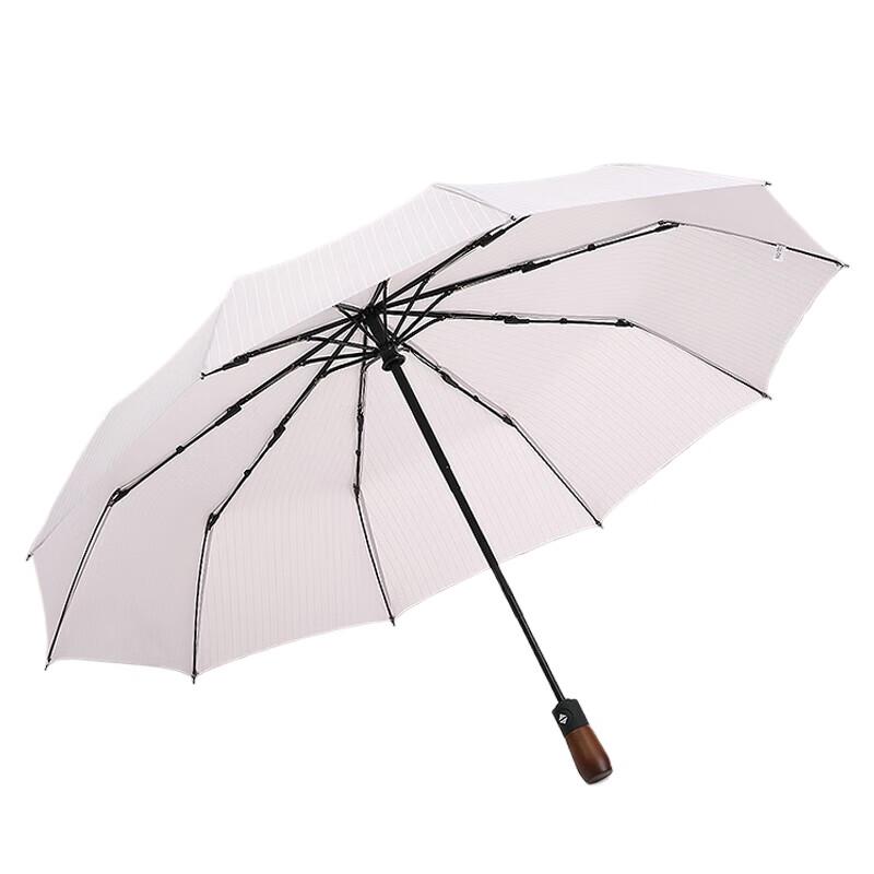 Tri-polar Oversized 10-Rib Automatic Folding Umbrella