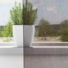 VidaXL Voile Curtains with Eyelets 2 Pcs Brown 140x175 Cm, Net Curtain, Sheer Curtain, Window Voile, 4102066