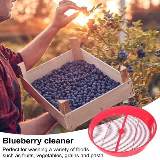 Blueberry Food Sieve Colander Cleaning Tray Drain Berry Vegetable Basket Washing Kitchen Fruit And