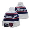 Lion Rugby Knit Hat, Dolphin Outdoor Warm Sun Hat, 49ers Hip Hop Ear Protection Hat