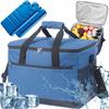 Thermal Bag for Picnic Lunch Beach Insulated 16L + 2 Cooling Packs