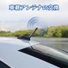 REYLNXR Short Antenna, Car Antenna, Radio Antenna, Signal Enhancement, Car Antenna, General Purpose (Design C)