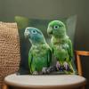 1pc Modern Style Parrot Print Pillow Cover, Made of 100% Polyester, Short Plush Fabric, Machine Washable, with Zipper Closure, Suitable for Decorative