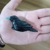 Black Bird Crow Figurina Statua Scultura Arte Decorazione in miniatura Piccolo animale