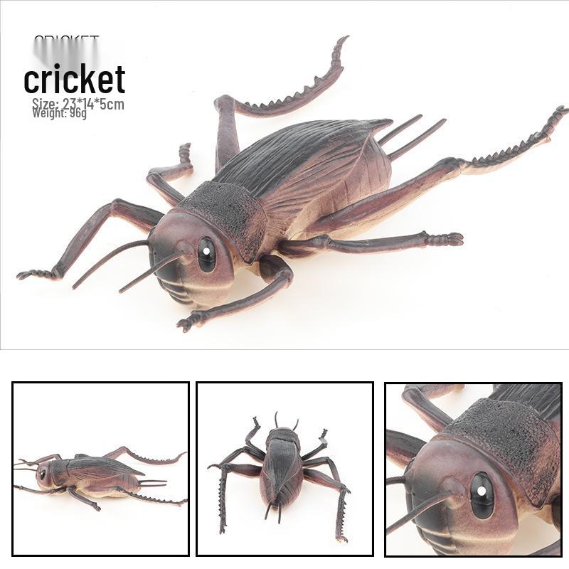 Large Insect Model Toy Set: Spider, Scorpion, Rhinoceros Beetle, Bee, Dragonfly