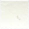 Wedgwood Anthemion Embroidered Handkerchief (White) Women's 001630-0002-02