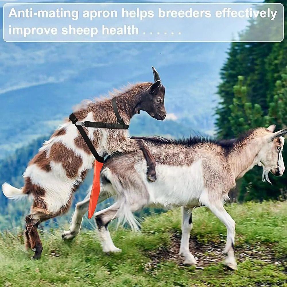 Breathable Breeding Control Goats Skirt Wear Resistant Anti Mating Sheep Skirt Livestock Accessory