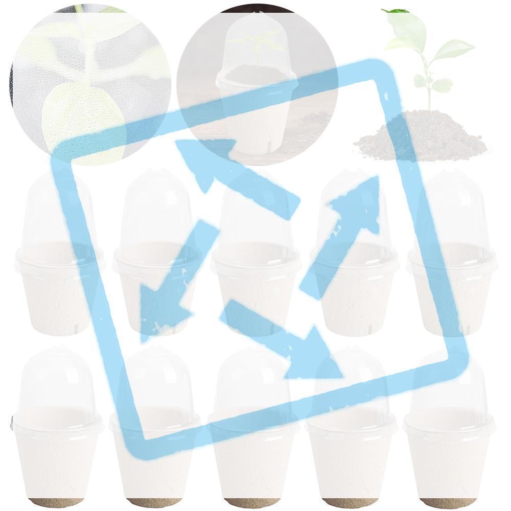 10 Stück Anzuchttopf Anzuchtbecher Transparenter Deckel Kultivierungstopf Biologisch abbaubarer Pflanzenzuchtbecher Vielseitiges Gartenzubehör