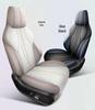 BYD Song Promi Special Seat Covers & Cushions - All-Season Full Coverage