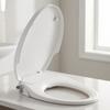 NonElectric Toilet Seat with Rinse | Adjustable Mounting Spacing, Spray