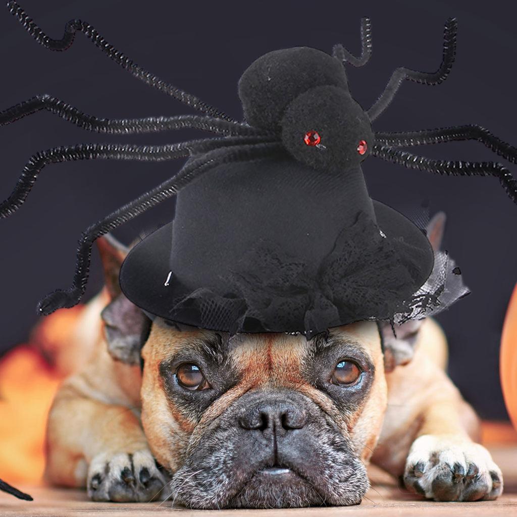 Pet Funny Hats, Suitable For Dogs And Cats