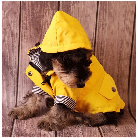 Hundejacke wasserdichter Regenmantel Haustier Kostüm Mantel Winter warm Hundekleidung Französische Bulldogge winddicht großer Hundemantel Chihuahua Outfits