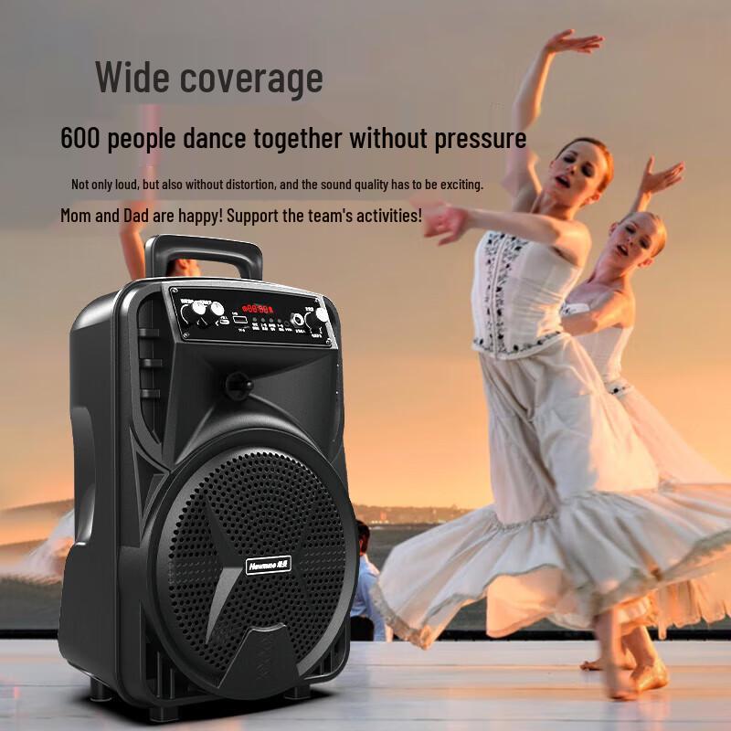 Newman N509 Portable Bluetooth Karaoke Speaker CN Plug (adapter Included)