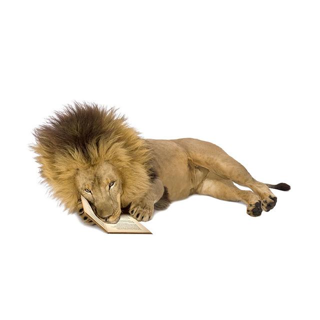 

J511 # Лев диких животных наклейка на автомобиль виниловая наклейка водонепроницаемые украшения автомобиля наклейки D-15cm-Longest Side