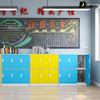 Lieve Colorful Student and Employee Locker