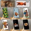 Telefon kapları – Smartphone Bumper Kılıflar