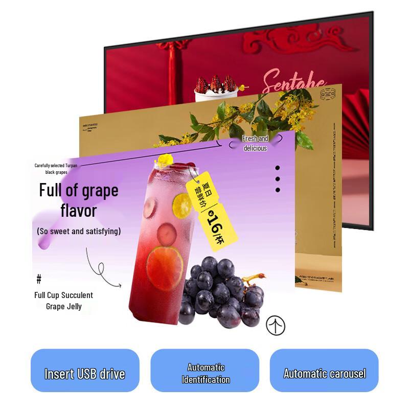 Zhijia Wall-Mounted Digital Signage Displays CN plug (adapter included)