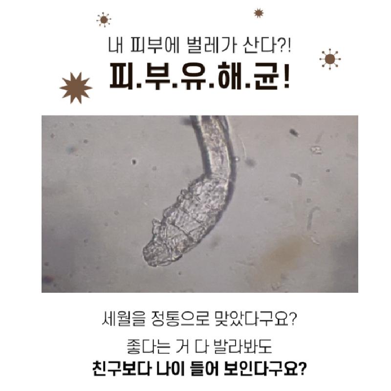 Sungboon Editor Lacto Biotics Cremă Reparatoare Bariera Pielii 30ml K-Beauty