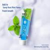 Sanqi Refreshing Mint Toothpaste