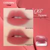 Colorkey Ice Cream Lip & Cheek Tint: Low Saturation Gloss for Bright, Plump Lips