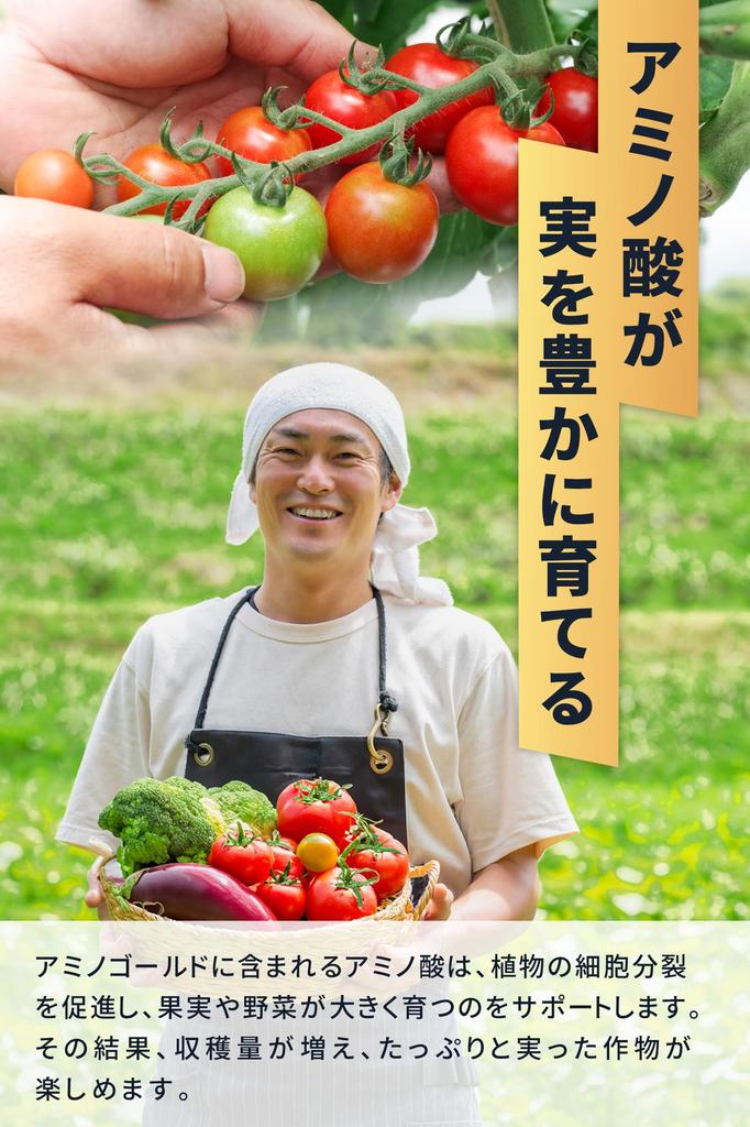 For plants wilted by extreme Amino Gold Plant Nutrient for and Amino and Fulvic 500ml heat Revitalizer, Vegetables, Fruits, Flowers, Acids, Acid,