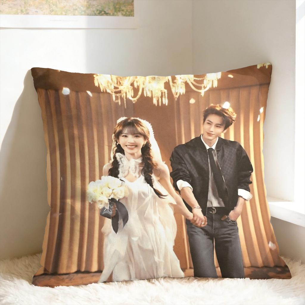 Pursuit Of Jade Pillowcases Zhang Linghe Tian Xiwei Vintage Pillow Case For Sofa Car Home Decor Soft Pillow Cover