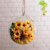Hanging Glass Propagation Station Clear Terrarium Planter for Flowers Air Hydroponic Plants Small Indoor Flower Vase for Home Room Window Office Decor