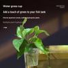 Wall-Mounted Aquarium Hydroponic Plant Basket for Sweet Potatoes