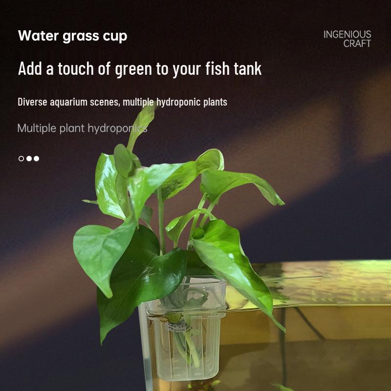 Wall-Mounted Aquarium Hydroponic Plant Basket for Sweet Potatoes