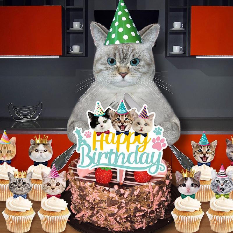 Adorable Cat Theme Birthday Party Decoration Set With Colorful Banners And Cake Toppers