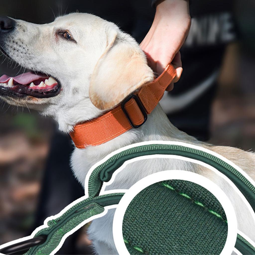 Adjustable Dog Collar with Quick Release Buckle Nylon Training Dog Collar for Medium and Large Dogs Adjustable Size