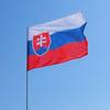 90*150cm Steag Slovacia Svk Sk Slovenska Slovacia Steag Slovac Banner Poliester Steag de Agățat