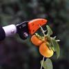 hot sale 1M Fruit Picker Extra Long Fruit Picking Shears Pruning And Hold Bypass Pruner Max Cutting Grape Persimmon Picker