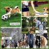 Outdoor Portable Training Dog Snack Bag - Large Capacity Strong Wear Resistant Durable Pet Waist Bag, Puppy Dog Outdoor Training
