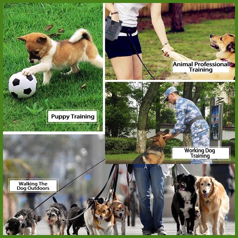 Outdoor Portable Training Dog Snack Bag - Large Capacity Strong Wear Resistant Durable Pet Waist Bag, Puppy Dog Outdoor Training