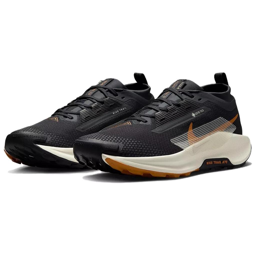 Nike Pegasus Trail 5 Gore-Tex Pánské Off Noir Black Monarch Pale Ivory FQ0908-007