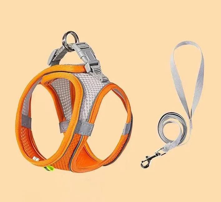 And Leash Set Vest for Summer Outdoor Walks