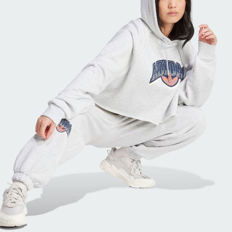 Adidas Originals Cropped Hoodie With Letter Logo Print Women Tops Light-Hemp-Gray IS2319