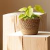 Straw Weaving Flower Plant Basket Grass Planter Indoor Outdoor Garden Pot