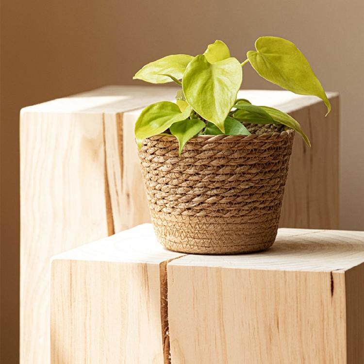 Straw Weaving Flower Plant Basket Grass Planter Indoor Outdoor Garden Pot