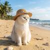 Embroidered Floral Pastoral Style Pet Straw Hat Adjustable Pet Sunshade Hat Dog Fisherman Hat  Park
