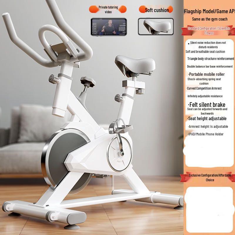 TLXT Home Spin Bike CN plug (adapter included)