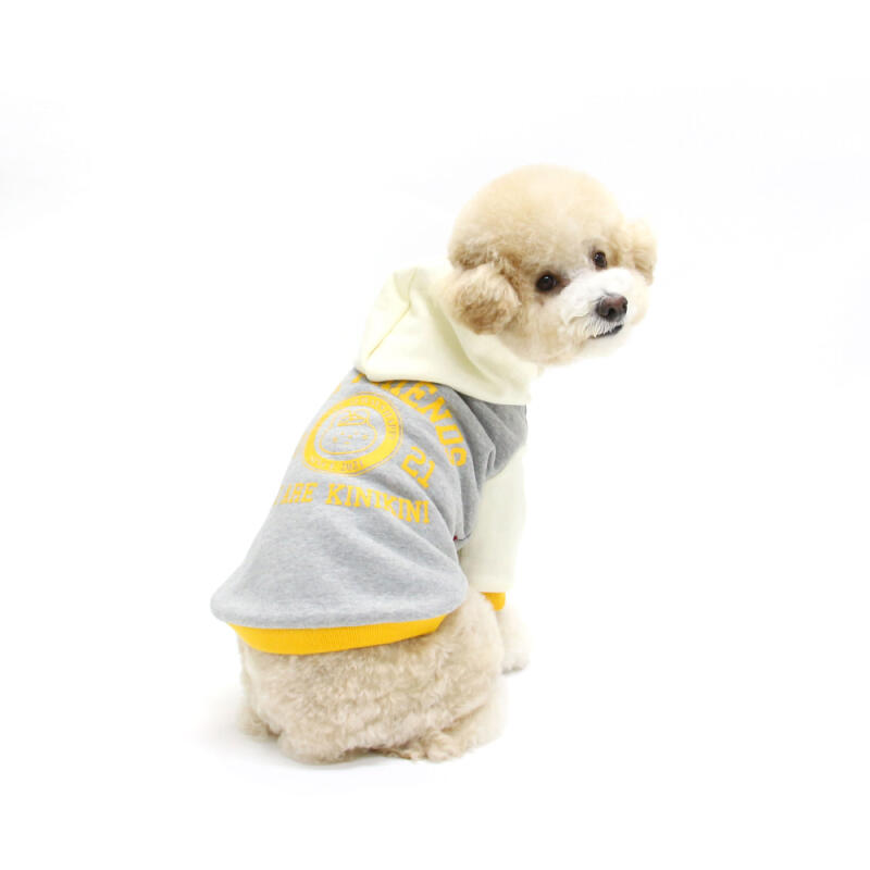 

WE ARE KINI HOODIE-GRAY (Hood) XXL