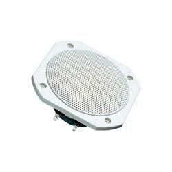 Haut-parleur pour sauna FRS 10 WP