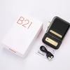 Niimbot B21 Bluetooth Thermal Sticker Printer