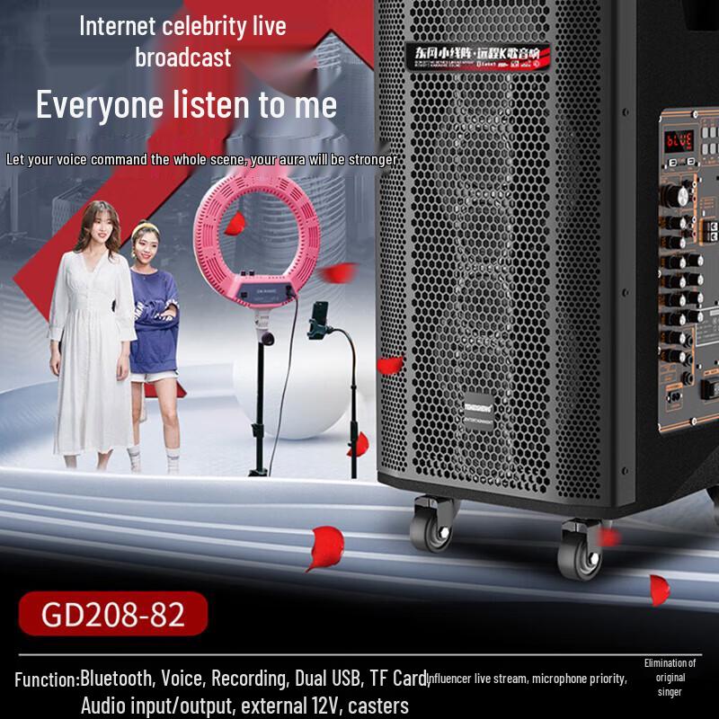 TEMEISHENG GD208-82 Portable High-Power KTV Bluetooth Speaker CN plug (adapter included) (CN version)