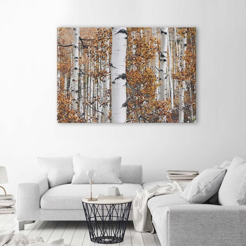 Canvas Print, Birch Forest Landscape Nature