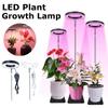 USB-Full-spectrum Indoor Solar LED Growth Lamp USB Timing Dimming, Succulent Plants Flower Bed Telescopic Fill Light Lamp